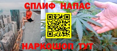 гидропоника Новодвинск