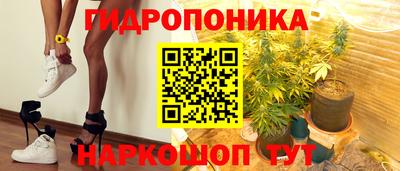 гидропоника Новодвинск